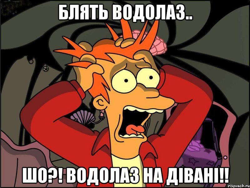 блять водолаз.. шо?! водолаз на дівані!!, Мем Фрай в панике