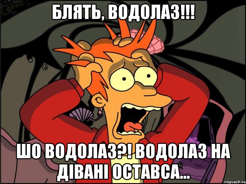 блять, водолаз!!! шо водолаз?! водолаз на дівані оставса..., Мем Фрай в панике