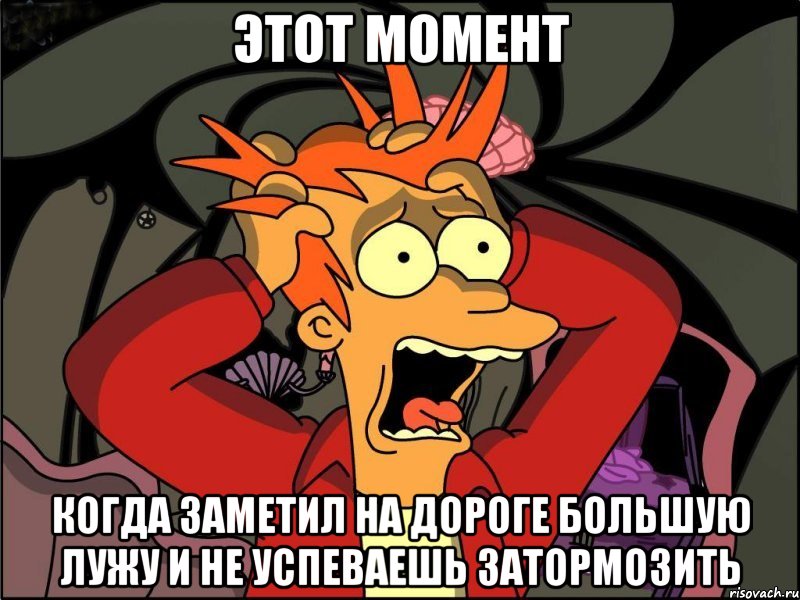 Этот момент когда заметил на дороге большую лужу и не успеваешь затормозить, Мем Фрай в панике