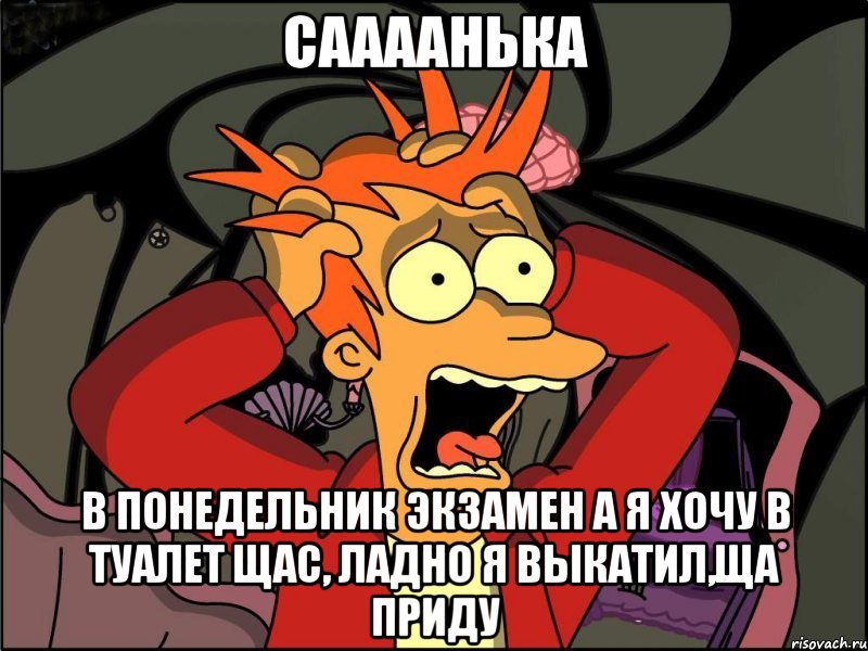 Саааанька В понедельник экзамен а я хочу в туалет щас, ладно я выкатил,ща приду, Мем Фрай в панике