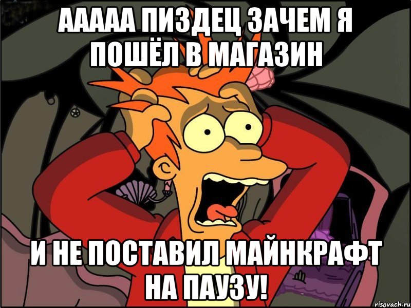 ааааа пиздец зачем я пошёл в магазин и не поставил майнкрафт на паузу!, Мем Фрай в панике