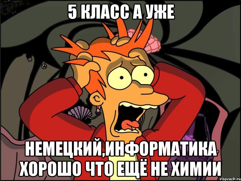 5 КЛАСС а уже Немецкий,Информатика хорошо что ещё не химии, Мем Фрай в панике