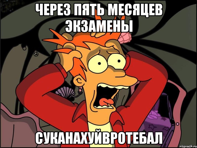 ЧЕРЕЗ ПЯТЬ МЕСЯЦЕВ ЭКЗАМЕНЫ СУКАНАХУЙВРОТЕБАЛ, Мем Фрай в панике