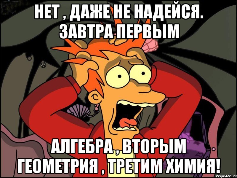 нет , даже не надейся. Завтра первым алгебра , вторым геометрия , третим химия!, Мем Фрай в панике