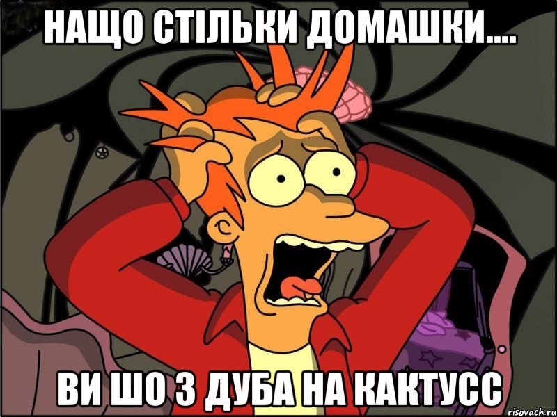 нащо стільки домашки.... ви шо з дуба на кактусс, Мем Фрай в панике