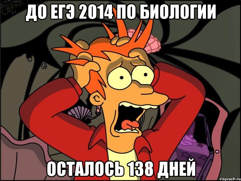 до егэ 2014 по биологии осталось 138 дней, Мем Фрай в панике