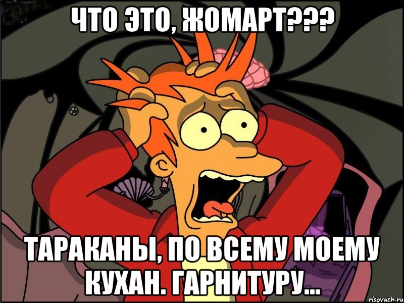 Что это, Жомарт??? Тараканы, по всему моему кухан. гарнитуру..., Мем Фрай в панике