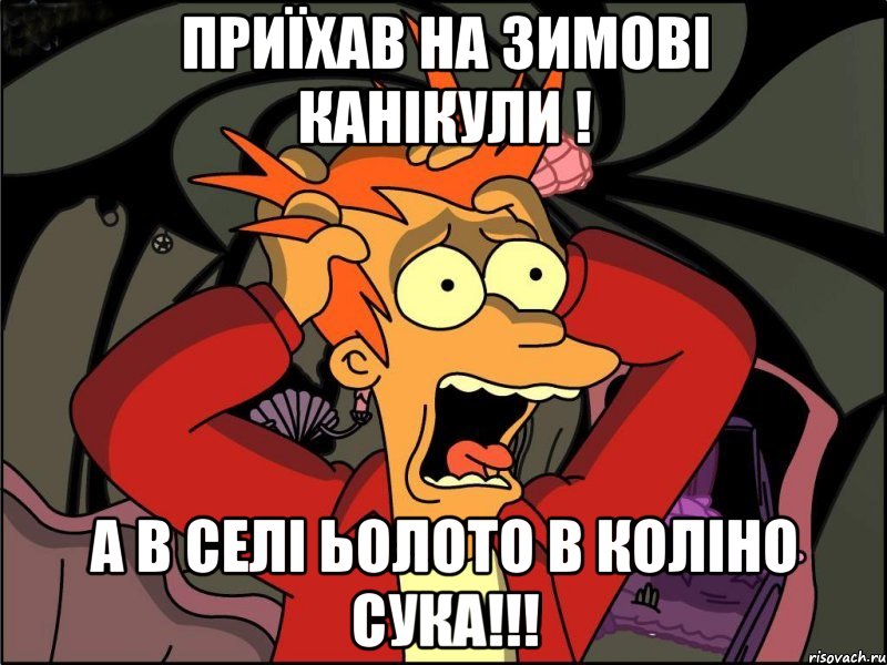 Приїхав на зимові канікули ! А в селі ьолото в коліно СУКА!!!, Мем Фрай в панике