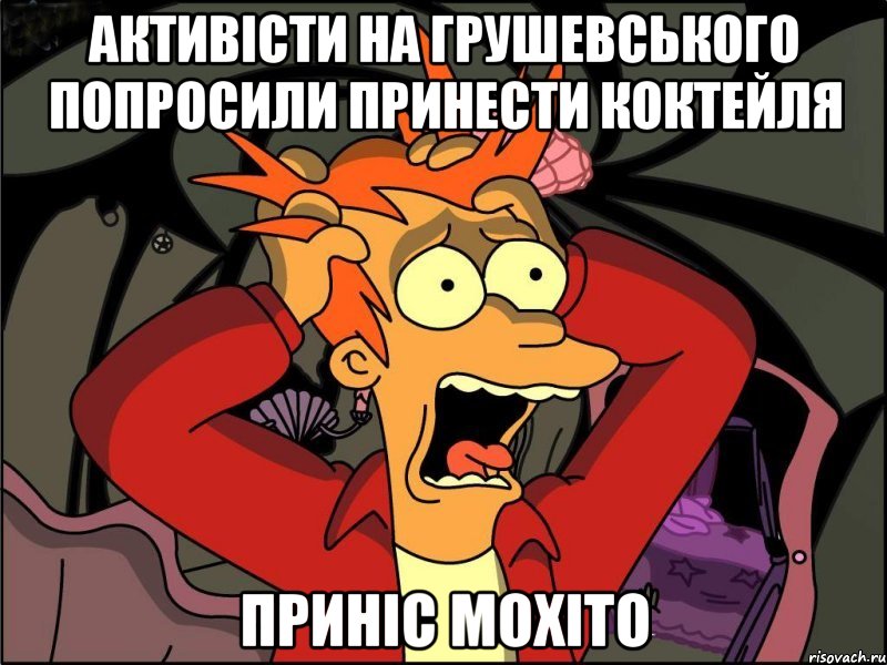 Активісти на грушевського попросили принести коктейля приніс мохіто, Мем Фрай в панике