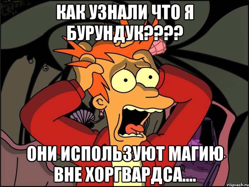 Как узнали что я бурундук???? Они используют магию вне Хоргвардса...., Мем Фрай в панике