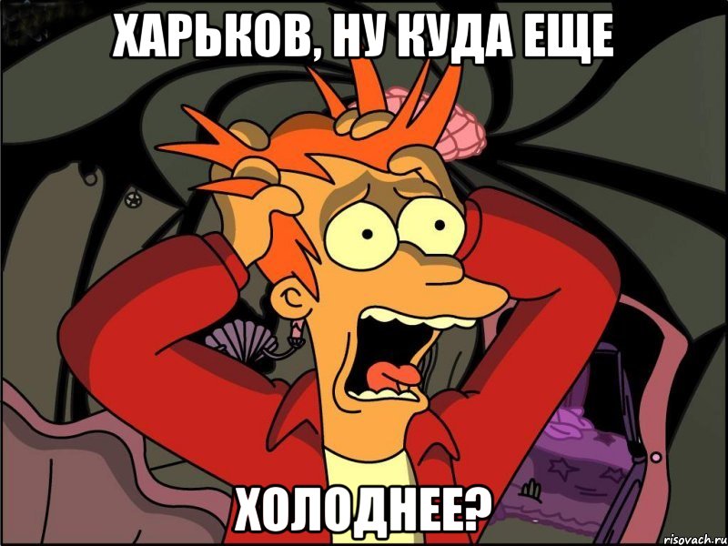 Харьков, ну куда еще холоднее?, Мем Фрай в панике