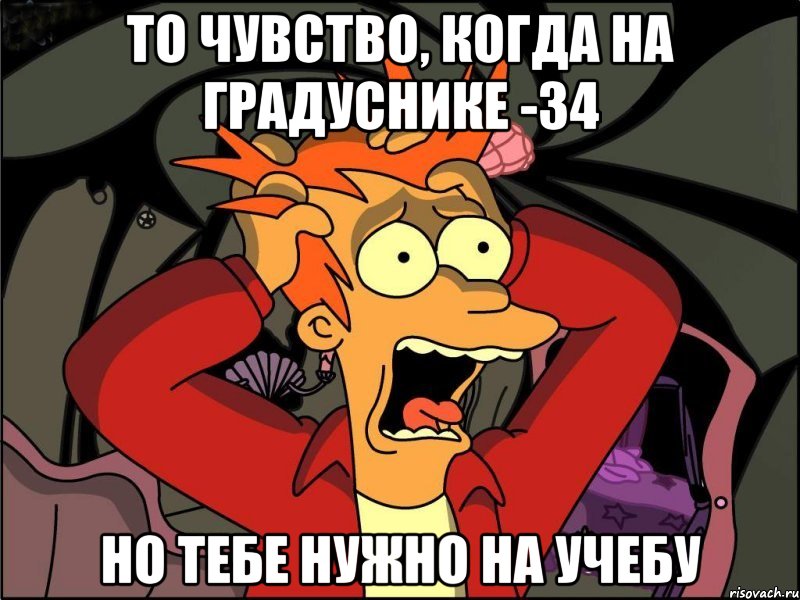 то чувство, когда на градуснике -34 но тебе нужно на учебу, Мем Фрай в панике