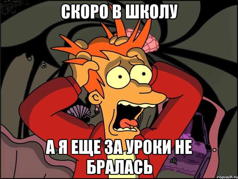 скоро в школу а я еще за уроки не бралась, Мем Фрай в панике