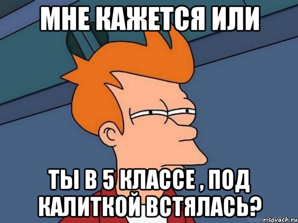 МНЕ КАЖЕТСЯ ИЛИ ТЫ В 5 КЛАССЕ , ПОД КАЛИТКОЙ ВСТЯЛАСЬ?, Мем  Фрай (мне кажется или)