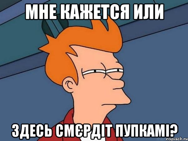 Мне кажется или здесь смєрдіт пупкамі?, Мем  Фрай (мне кажется или)