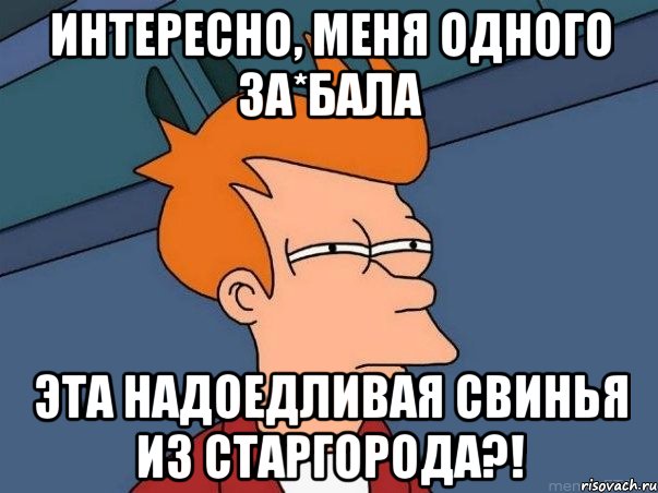 Интересно, меня одного за*бала Эта надоедливая свинья из Старгорода?!, Мем  Фрай (мне кажется или)