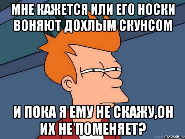 мне кажется или его носки воняют дохлым скунсом и пока я ему не скажу,он их не поменяет?, Мем  Фрай (мне кажется или)