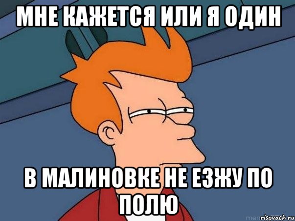 мне кажется или я один в малиновке не езжу по полю, Мем  Фрай (мне кажется или)