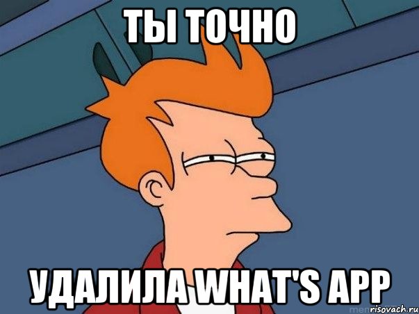 ты точно удалила what's app, Мем  Фрай (мне кажется или)