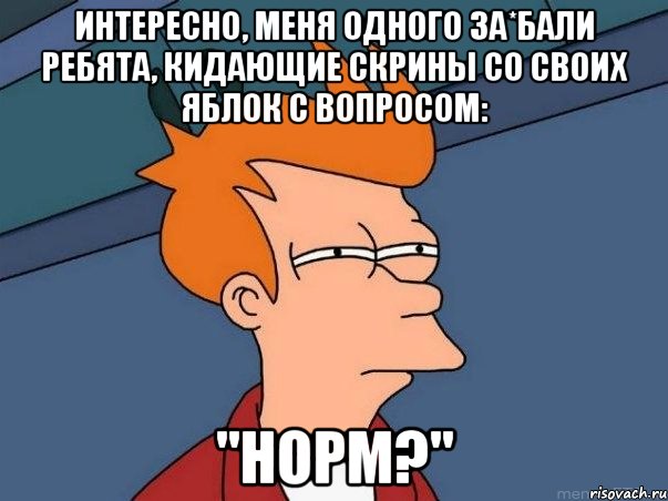 Интересно, меня одного за*бали ребята, кидающие скрины со своих яблок с вопросом: "НОРМ?", Мем  Фрай (мне кажется или)