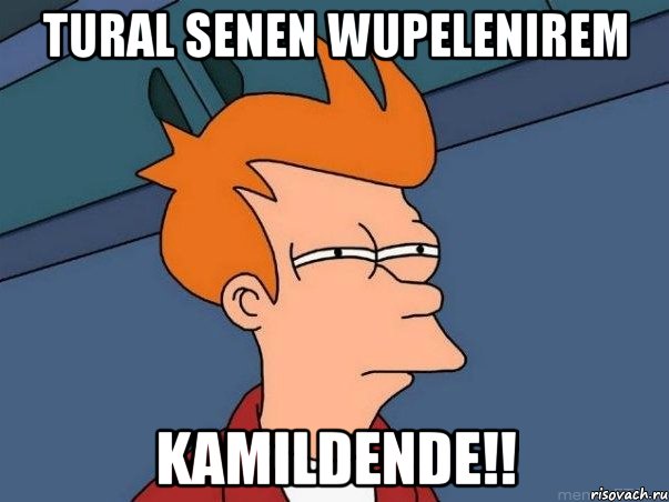 Tural Senen wupelenirem Kamildende!!, Мем  Фрай (мне кажется или)