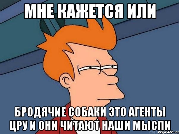 Мне кажется или Бродячие собаки это агенты ЦРУ и они читают наши мысли, Мем  Фрай (мне кажется или)