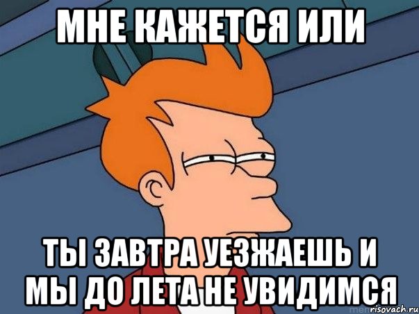 МНЕ КАЖЕТСЯ ИЛИ ТЫ ЗАВТРА УЕЗЖАЕШЬ И МЫ ДО ЛЕТА НЕ УВИДИМСЯ, Мем  Фрай (мне кажется или)