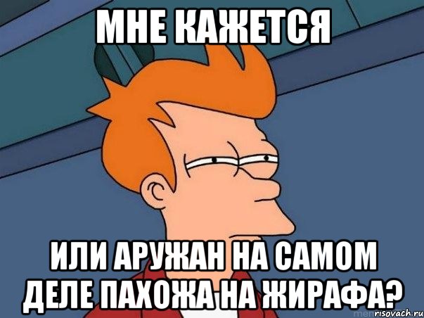 мне кажется Или Аружан на самом деле пахожа на ЖИРАФА?, Мем  Фрай (мне кажется или)