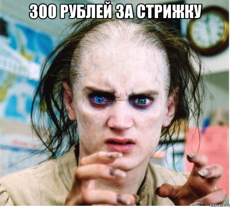 300 РУБЛЕЙ ЗА СТРИЖКУ , Мем фродум