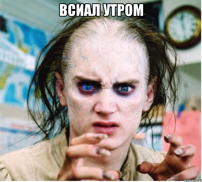 ВСИАЛ УТРОМ , Мем фродум