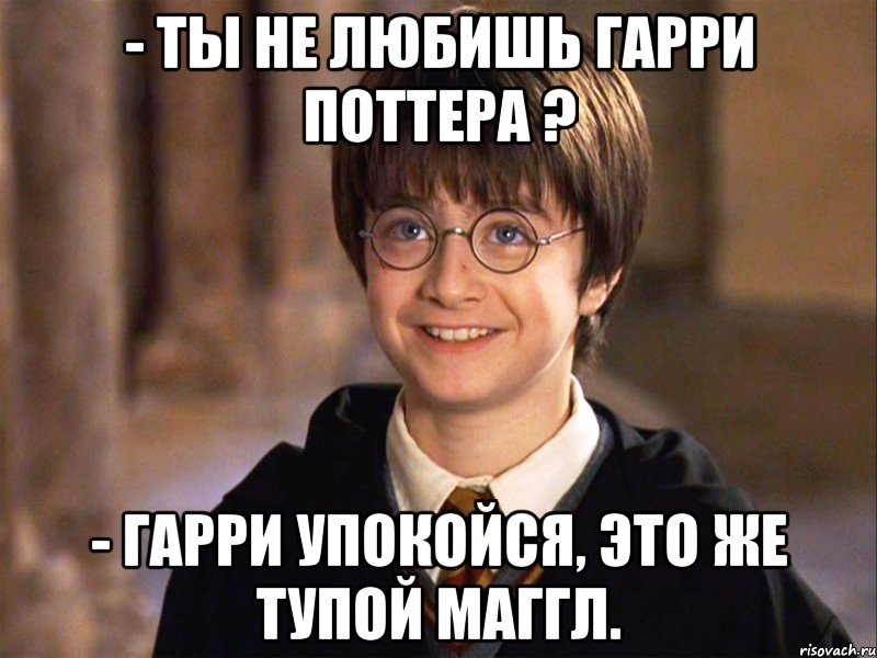 - Ты не любишь Гарри Поттера ? - Гарри упокойся, это же тупой маггл., Мем Гарри Поттер