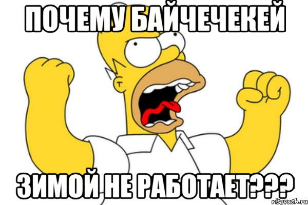 Почему Байчечекей Зимой не работает???, Мем Разъяренный Гомер