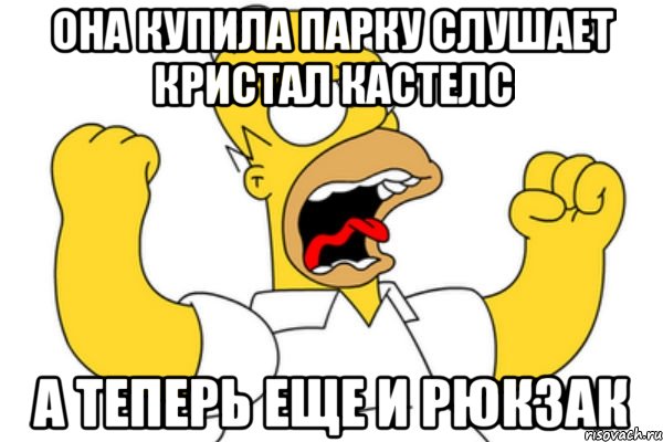 она купила парку слушает кристал кастелс а теперь еще и рюкзак, Мем Разъяренный Гомер