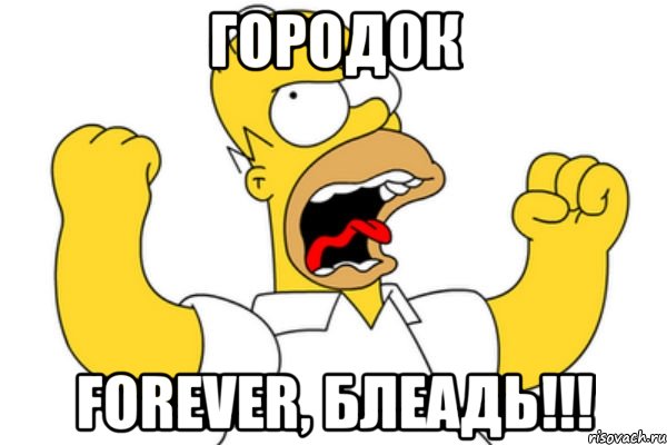 ГОРОДОК FOREVER, блеадь!!!, Мем Разъяренный Гомер