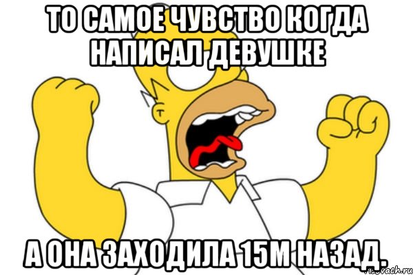 То самое чувство когда написал девушке а она заходила 15м назад., Мем Разъяренный Гомер