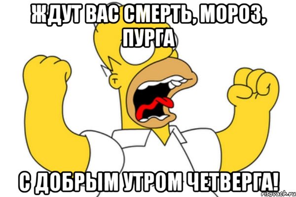 Ждут вас смерть, мороз, пурга С добрым утром четверга!, Мем Разъяренный Гомер