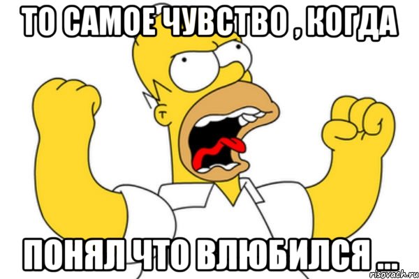 то самое чувство , когда понял что влюбился ..., Мем Разъяренный Гомер