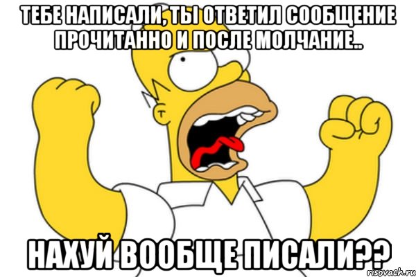 Тебе написали, ты ответил сообщение прочитанно и после молчание.. НАХУЙ ВООБЩЕ ПИСАЛИ??, Мем Разъяренный Гомер