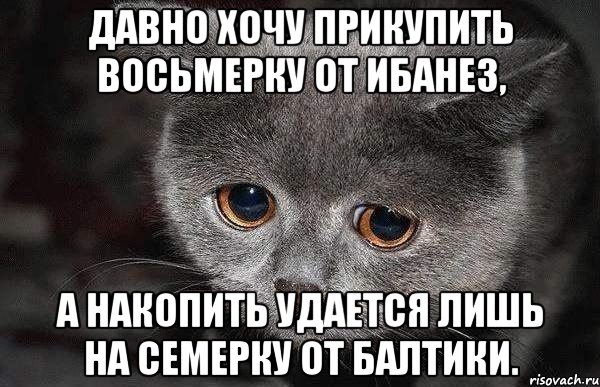 Давно хочу прикупить восьмерку от ибанез, а накопить удается лишь на семерку от балтики., Мем  Грустный кот