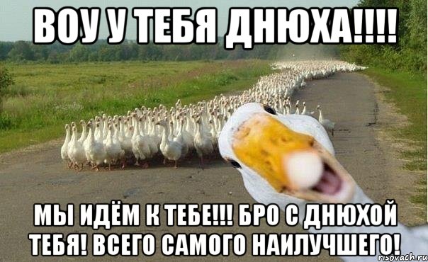 Воу у тебя днюха!!!! Мы идём к тебе!!! Бро с днюхой тебя! Всего самого наилучшего!, Мем гуси