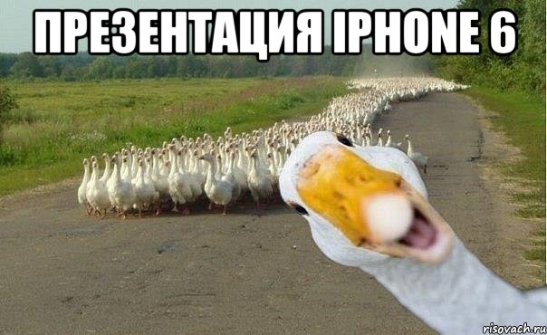 Презентация Iphone 6 , Мем гуси