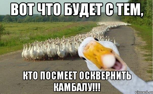 вот что будет с тем, кто посмеет осквернить камбалу!!!, Мем гуси