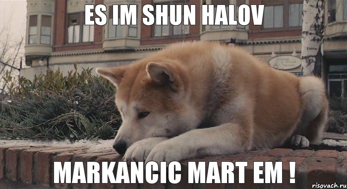 es im shun halov markancic MART em !, Мем  лежащий хатико