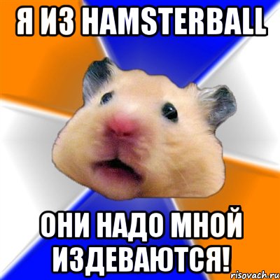 Я из Hamsterball Они надо мной издеваются!, Мем Хомяк