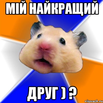 мій найкращий друг ) ?, Мем Хомяк