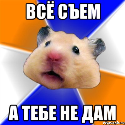 всё съем а тебе не дам, Мем Хомяк