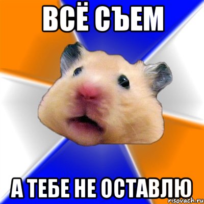 всё съем а тебе не оставлю, Мем Хомяк