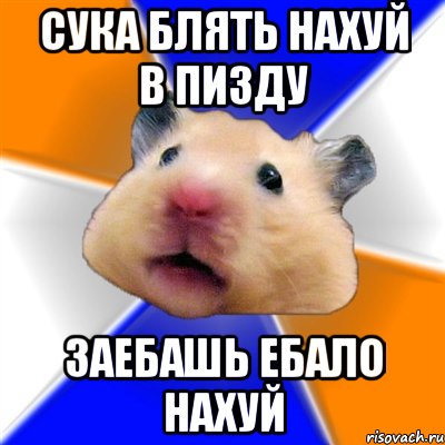 СУКА БЛЯТЬ НАХУЙ В ПИЗДУ ЗАЕБАШЬ ЕБАЛО НАХУЙ, Мем Хомяк