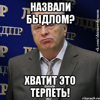 Назвали быдлом? ХВАТИТ ЭТО ТЕРПЕТЬ!, Мем Хватит это терпеть (Жириновский)