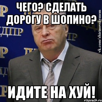 ЧЕГО? СДЕЛАТЬ ДОРОГУ В ШОПИНО? ИДИТЕ НА ХУЙ!, Мем Хватит это терпеть (Жириновский)